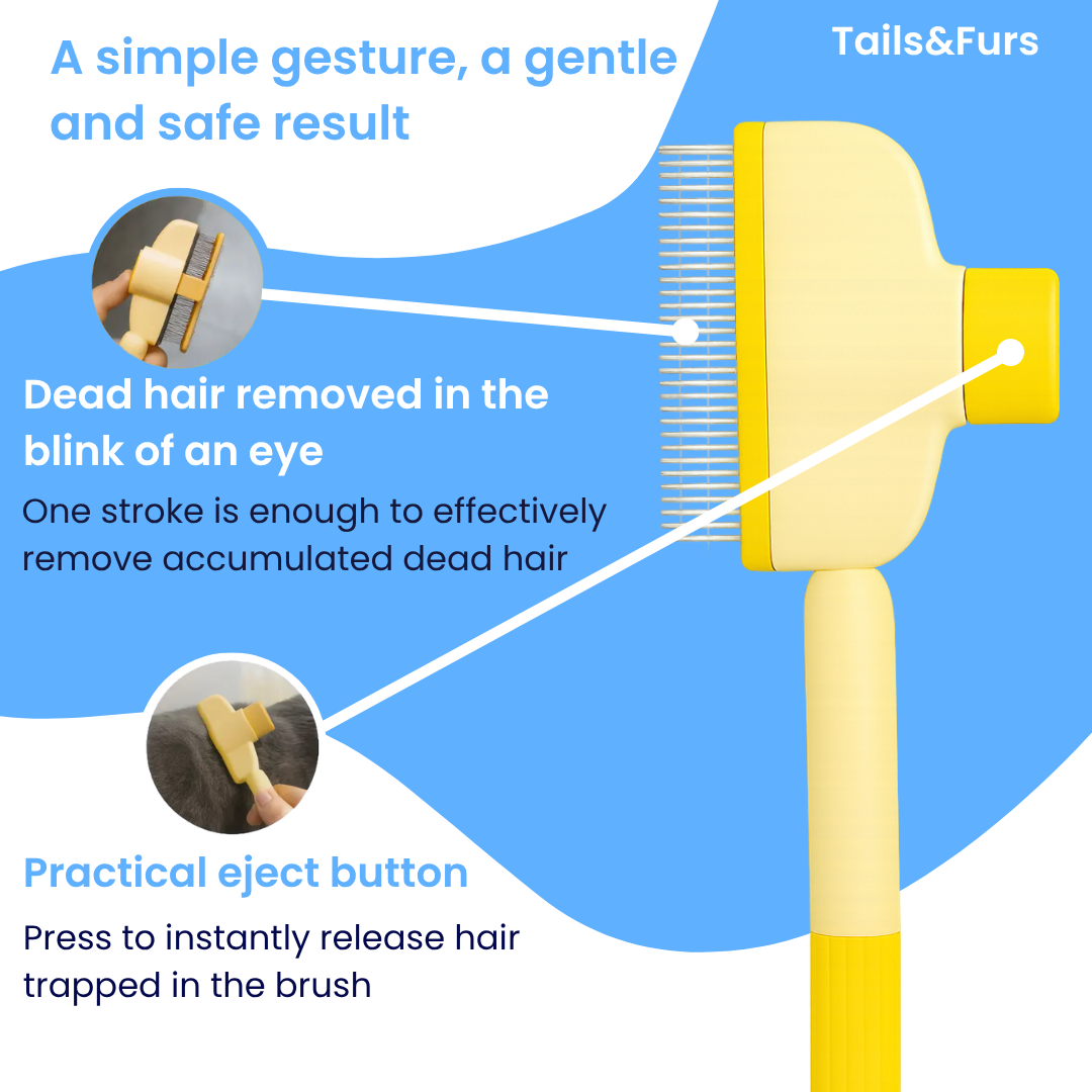 Magic Click Brush